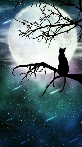 Il Gatto E La Luna Silhouette Art Black Cat Painting