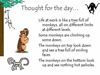 Funny Jokes For Tablet HD Wallpaper Piix