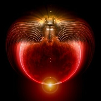 Scarab By Christopherpayne