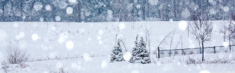 Winter Snowing Ultra HD Desktop Background Wallpaper For
