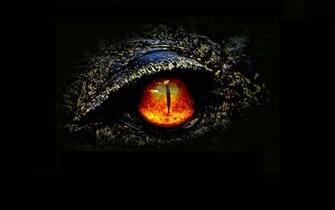 Dinosaur Horror Wallpaper