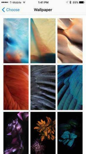 New Ios Wallpaper Cupertino Times