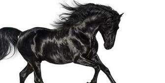 Lil Nas X S Old Town Road Is The No Song In America