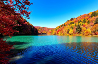 Microsoft Edge Wallpaper