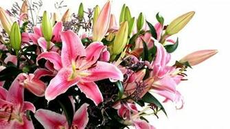 Valentine S Day Flower Bouquet Wallpaper Bunch For