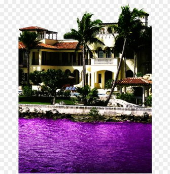 Urple Codeine Transparent Lean Double Cup Syrup Sizzurp Mansion