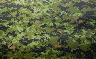 Cadpat Camo Camouflage Wallpaper Funny Tattoos