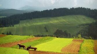 Summer Rural Landscape Desktop Pc And Mac Wallpaper