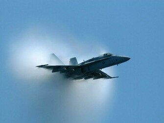 Hornet Wallpaper X