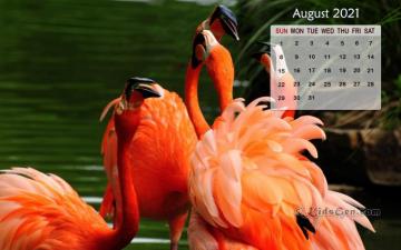 August Calendar Wallpaper