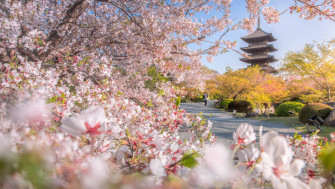 Top Kyoto Wallpaper Full HD 4k To Use