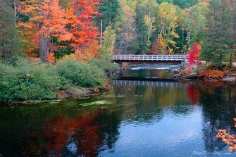 Fall Wallpaper