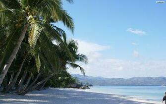 Youwall Exotic Beach Wallpaper