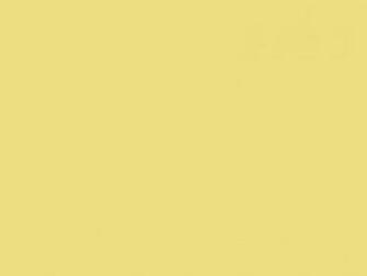 Buff Solid Color Background