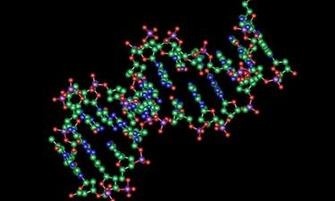 Biology Wallpaper Screenshot