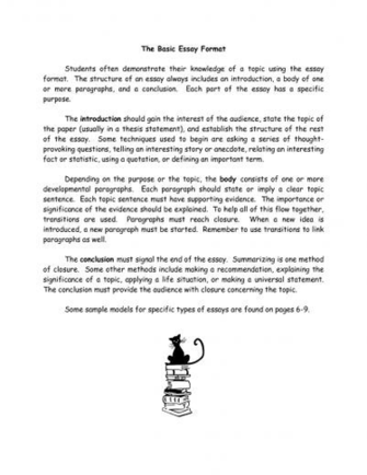 Essay Basic Format Bibliography For Website Apa