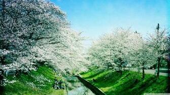 HD Wallpaper Spring Season X Kb Jpeg