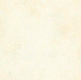 Free download Solid Cream Color Background 640x960 cream solid color ...