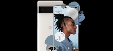 Pixel Wallpaper Leak W Colorful Plant And Flower Theme