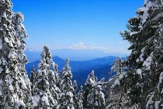 Windows Vista Desktop Wallpaper Pack