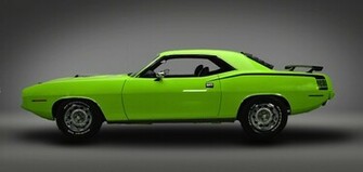 Hemicuda Cuda Hemi