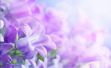 Purple Flowers Fantasy Backdrop 3d Flower Wallpaper Custom