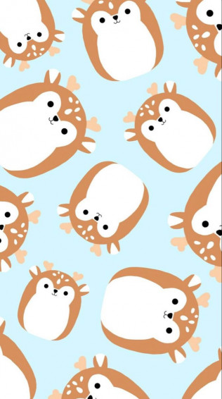 Dawn The Fawn Squishmallow Wallpaper iPhone Cat