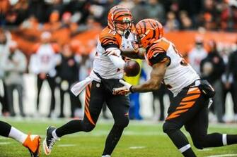 Cincinnati Bengals In Defense Of Andy Dalton