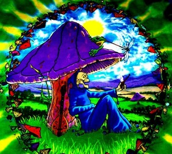 Stoner King Graphics And Comments