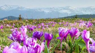 Spring Mountains High Quality And Resolution Wallpaper