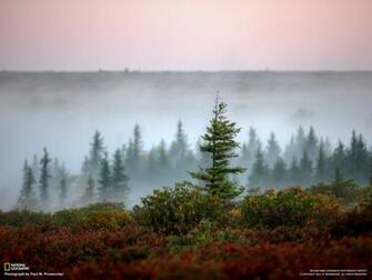 Is From National Geographic Photography Contest Wallpaper Week