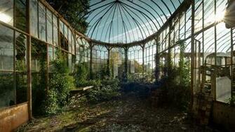 Brown And Green Plant Garden Abandoned Greenhouse HD Wallpaper