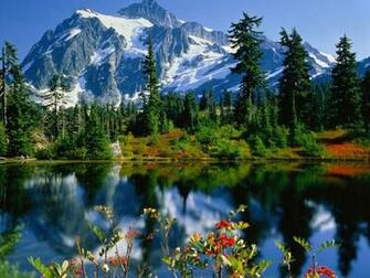 Nature Wallpaper Autumn Darkolivegreen Gainsboro
