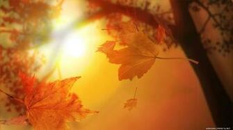 Autumn Abstract Wallpaper