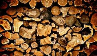 Background Of Firewood High Quality Abstract Stock Photos