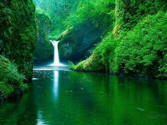 Wallpaper Designs Most Beautyful Amazing Dasktop Wallpalers