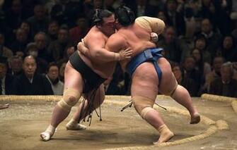 Wallpaper Sport Fight Sumo Image For Desktop Section