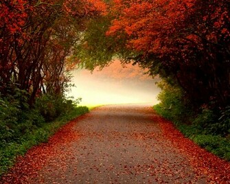 Fall Desktop Background Wallpaper HD Background