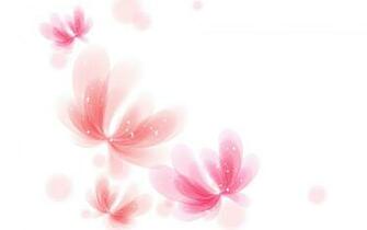 Pink White Wallpaper Background
