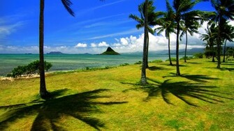 Incredible Nature Full HDtv Wallpaper