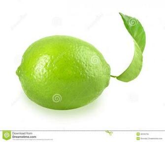 Lime Green And White Wallpaper HD Lovely