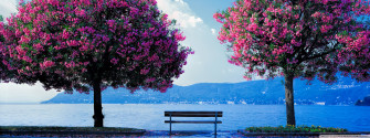 Spring Fishing Ultra HD Desktop Background Wallpaper For Multi