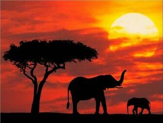 High Definition Wallpaper Club African Sunset