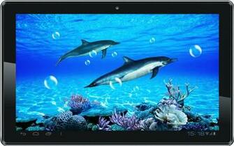 Dolphin Sounds Live Wallpaper Android Apps On Google Play