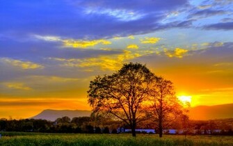 Summer Sunset Wallpaper Which Is Under The