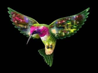 Hummingbird Wallpaper