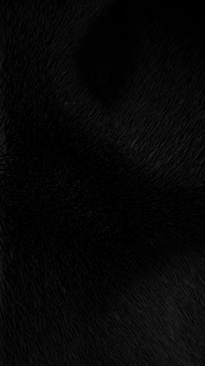 Black iPhone Plus Wallpaper At Wallpaperbro