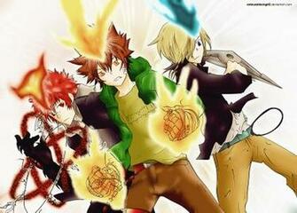 Katekyo Hitman Reborn Flames Gloves Sawada Tsunayoshi