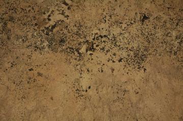 Old Vintage Wallpaper Top Background