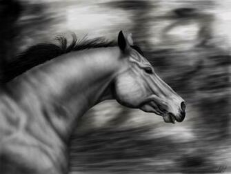 3d Animal Wallpaper For Desktop